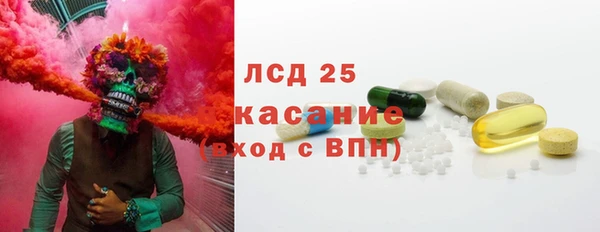 индика Слюдянка