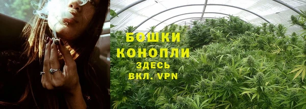 Альфа ПВП Богородск