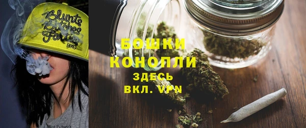 стаф Белокуриха