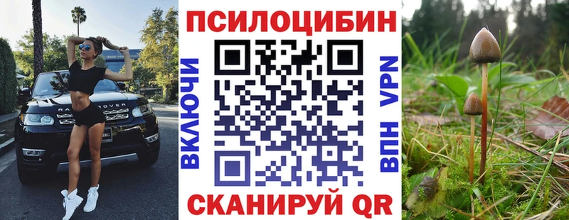 Псилоцибиновые грибы MAGIC MUSHROOMS  Минеральные Воды 