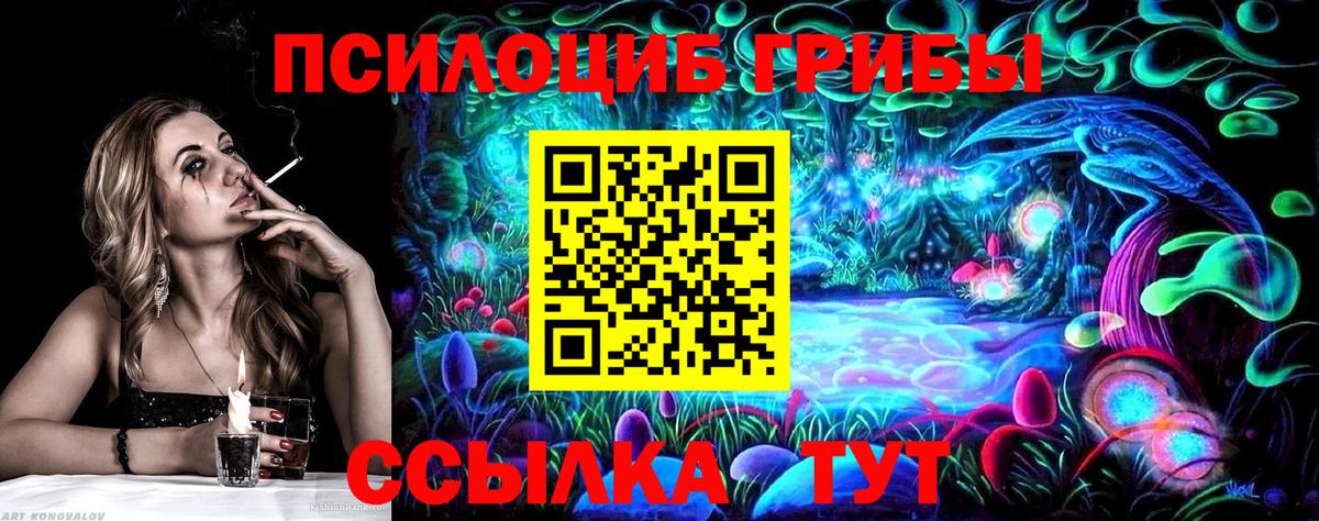 Псилоцибиновые грибы Psilocybe  Вход с VPN  Минеральные Воды 