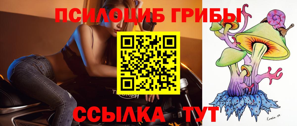 Псилоцибиновые грибы GOLDEN TEACHER Минеральные Воды
