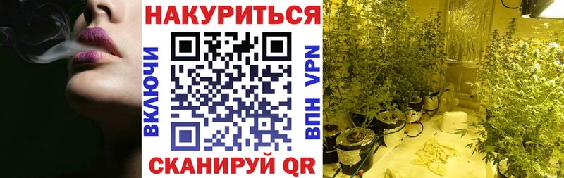 Канабис VHQ продажа наркотиков Минеральные Воды